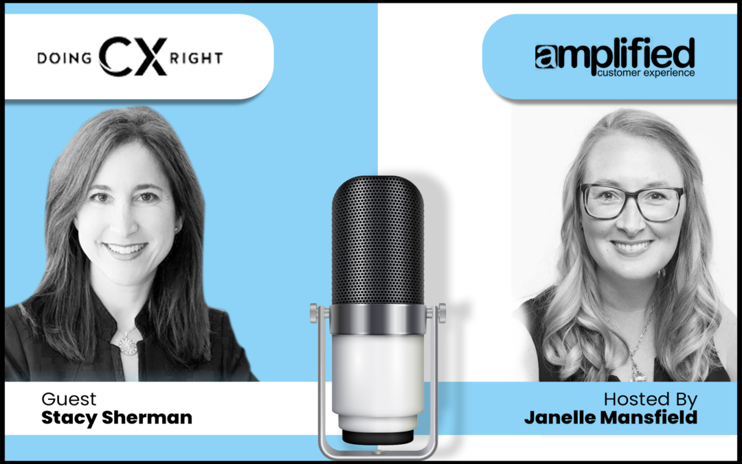Diving Deep on Voice of the Customer